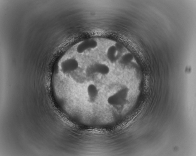 X0000097910545200804111116