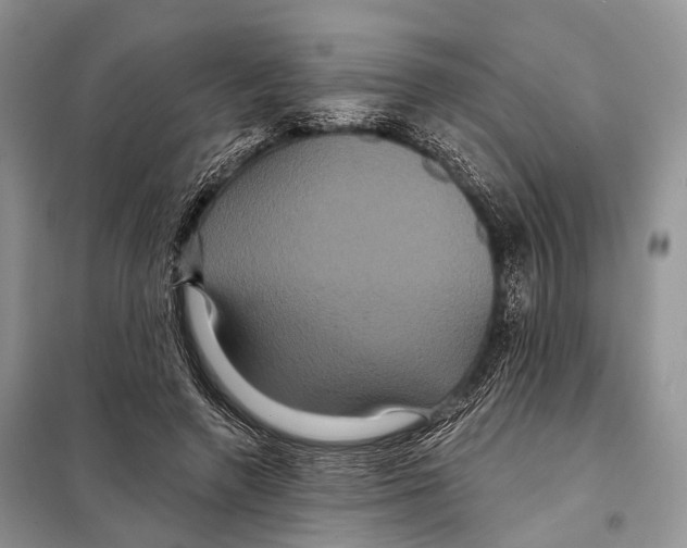 X0000097910546200804111116