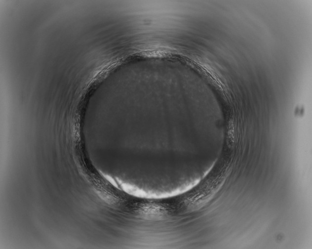 X0000097910547200804111116