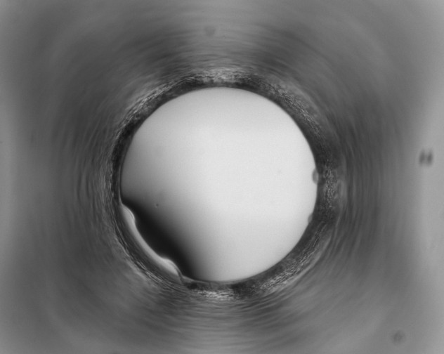 X0000097910548200804111116