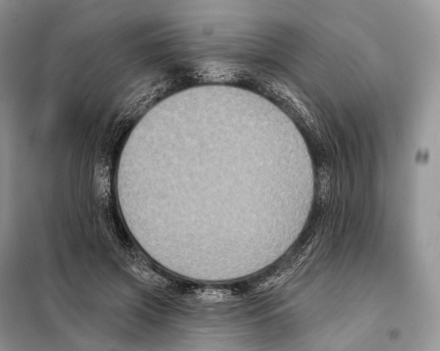 X0000097910549200804111116