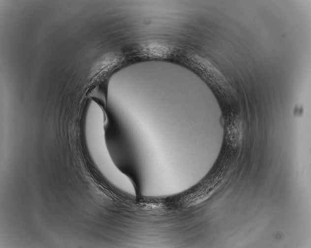 X0000097910552200804111116