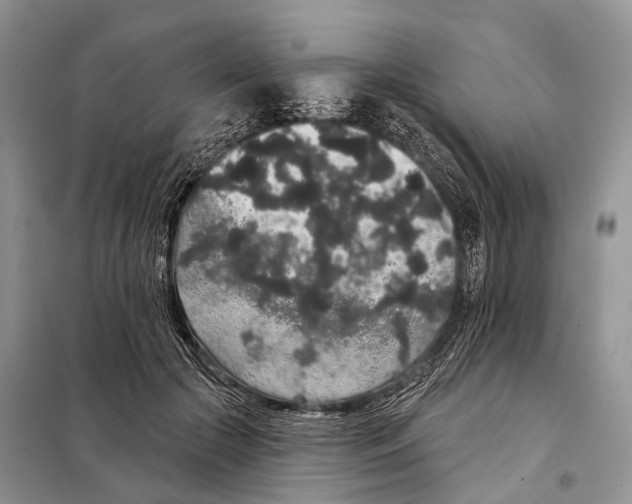 X0000097910553200804111116