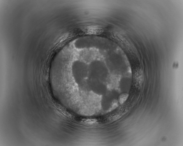 X0000097910554200804111116