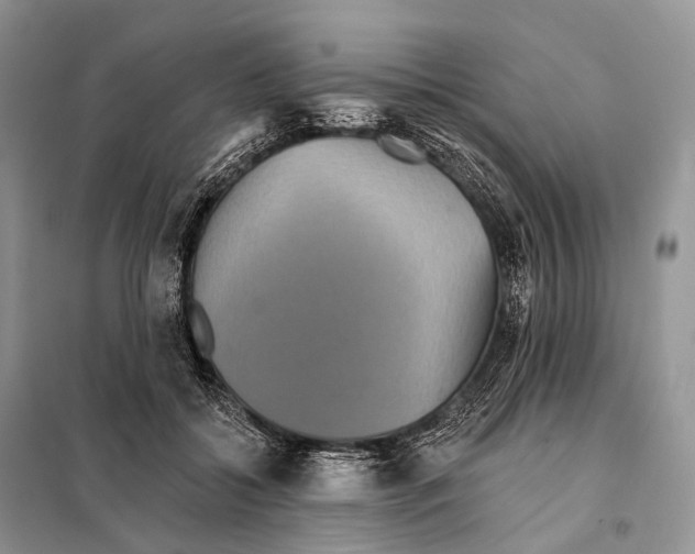 X0000097910556200804111116