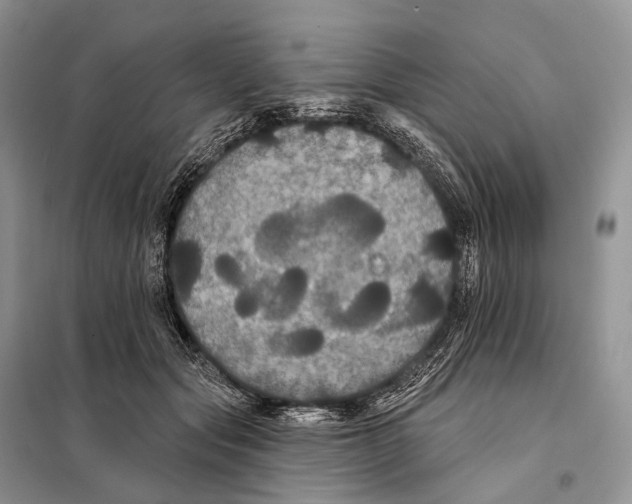 X0000097910557200804111116