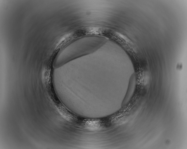 X0000097910560200804111116