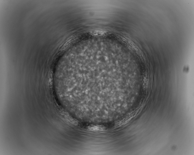 X0000097910561200804111116