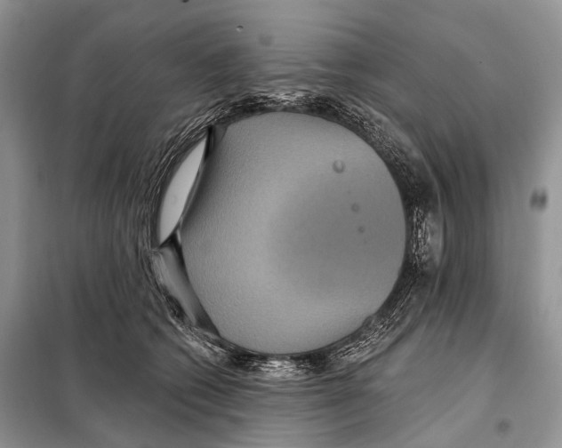 X0000097910562200804111116