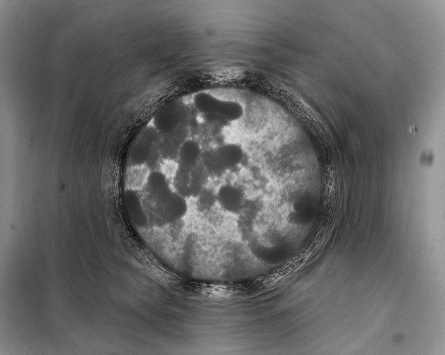 X0000097910565200804111116