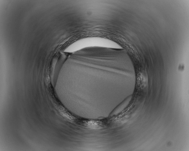 X0000097910566200804111116