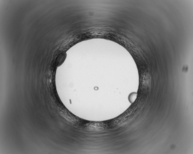 X0000097910567200804111116