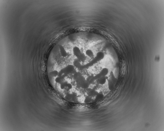 X0000097910569200804111116