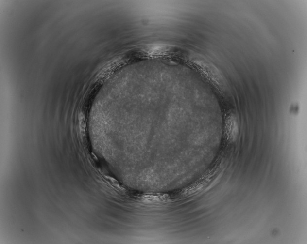 X0000097910571200804111116