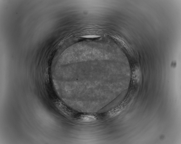 X0000097910572200804111116