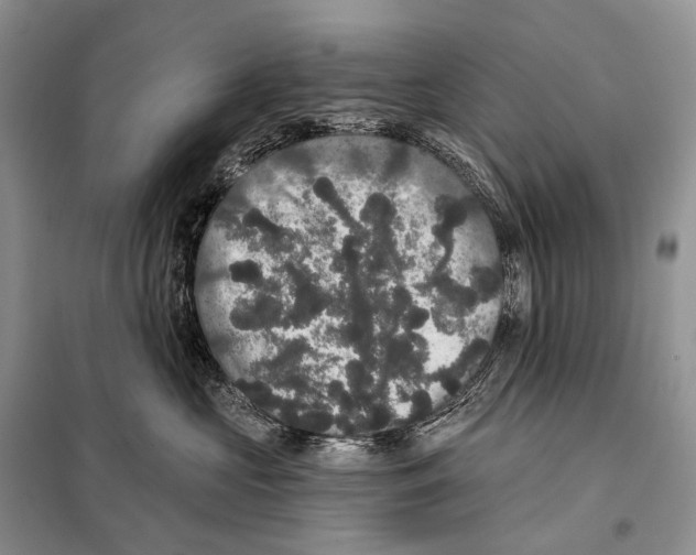 X0000097910573200804111116