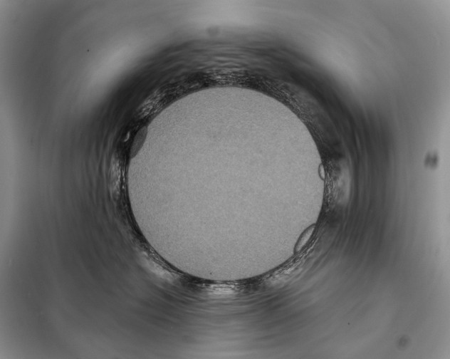 X0000097910574200804111116