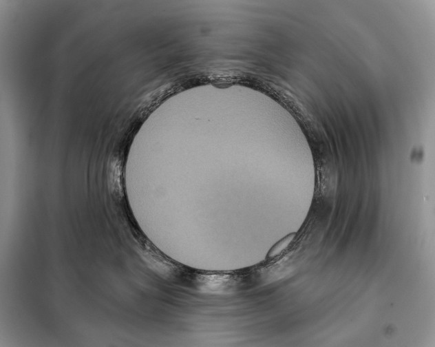 X0000097910575200804111116