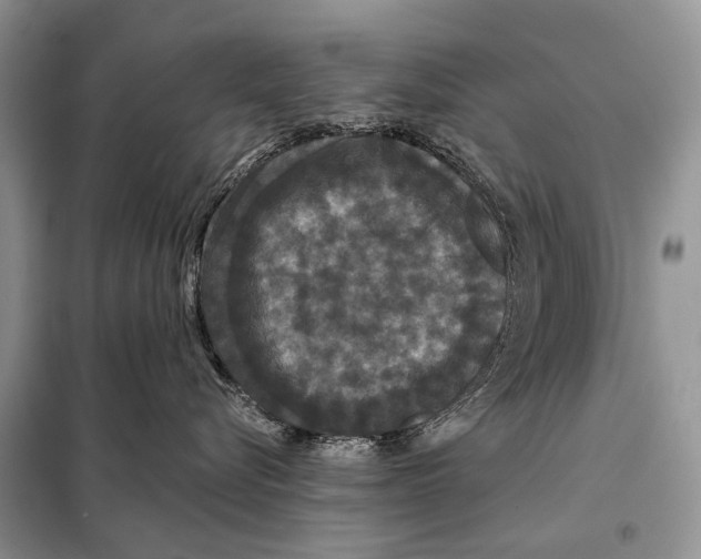 X0000097910576200804111116