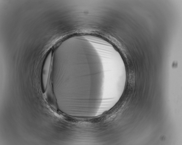 X0000097910577200804111115