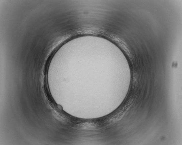 X0000097910578200804111115