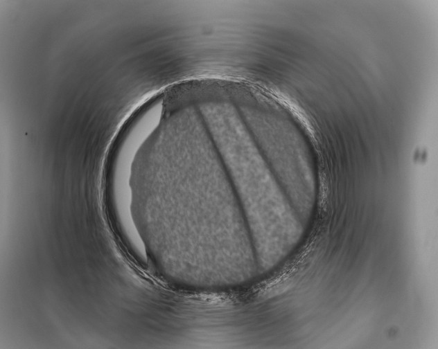 X0000097910580200804111115