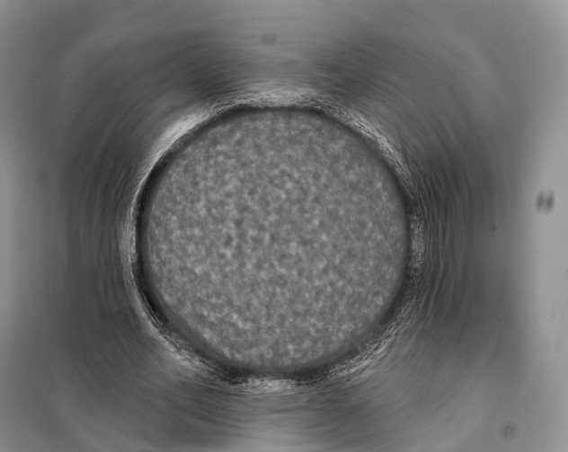 X0000097910582200804111115