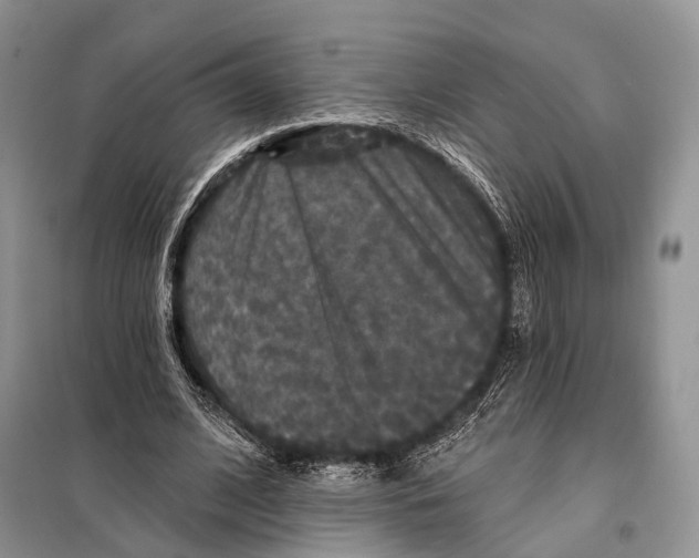 X0000097910584200804111115