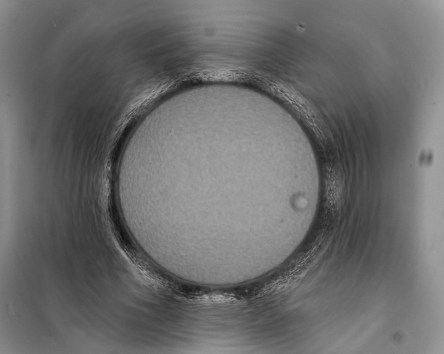 X0000097910586200804111115