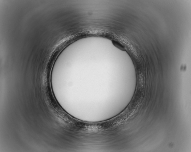 X0000097910587200804111115