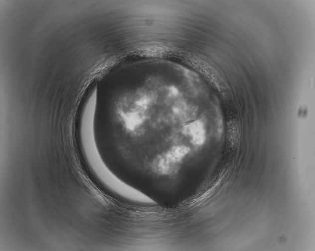 X0000097910589200804111115