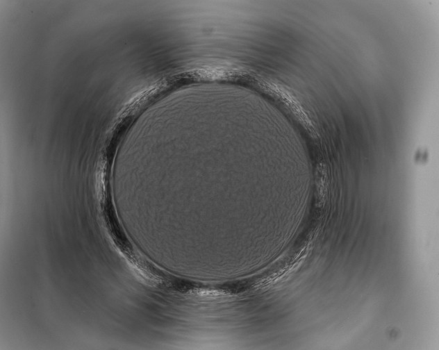 X0000097910590200804111115