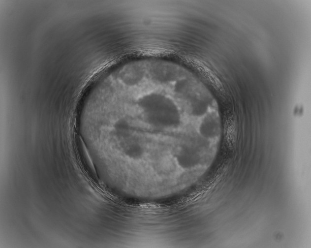 X0000097910591200804111115