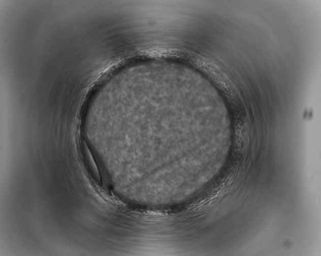 X0000097910592200804111115