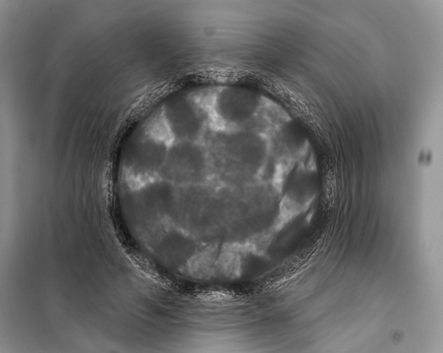 X0000097910594200804111115