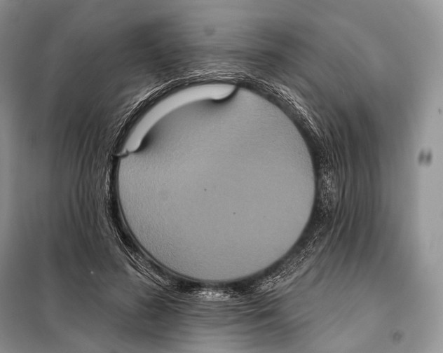 X0000097910596200804111115