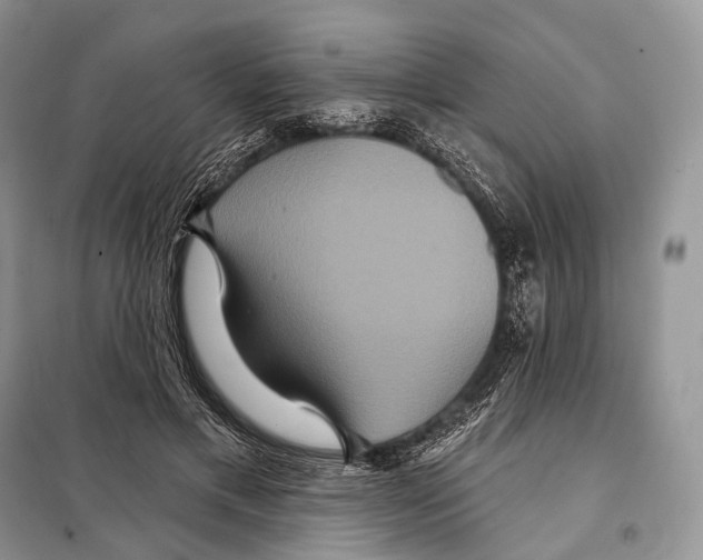 X0000097910597200804111115