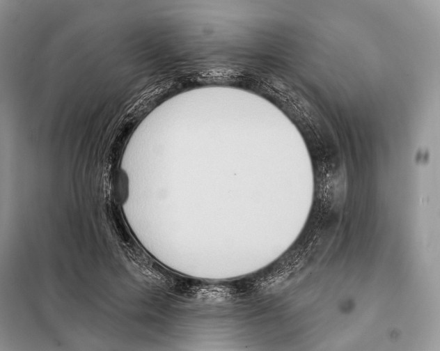 X0000097910599200804111115