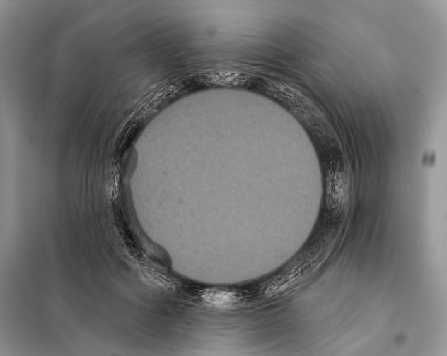 X0000097910602200804111115