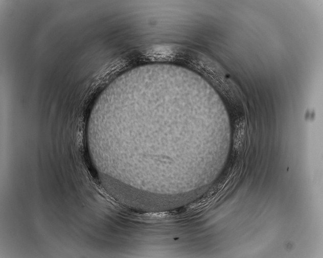 X0000097910604200804111115