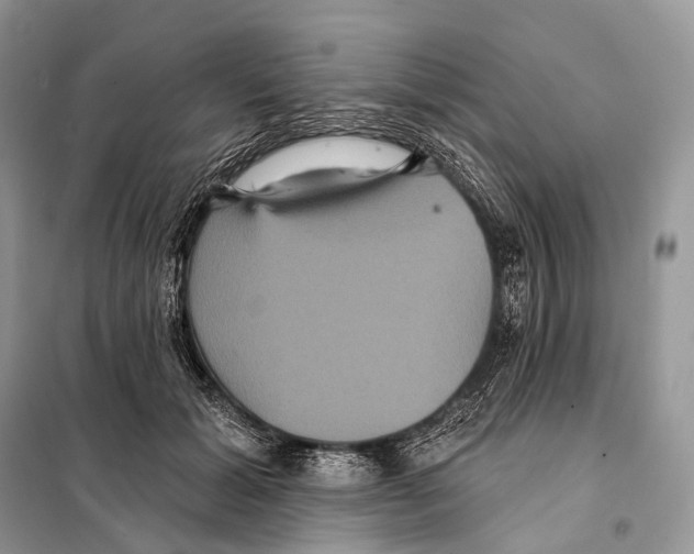 X0000097910605200804111115