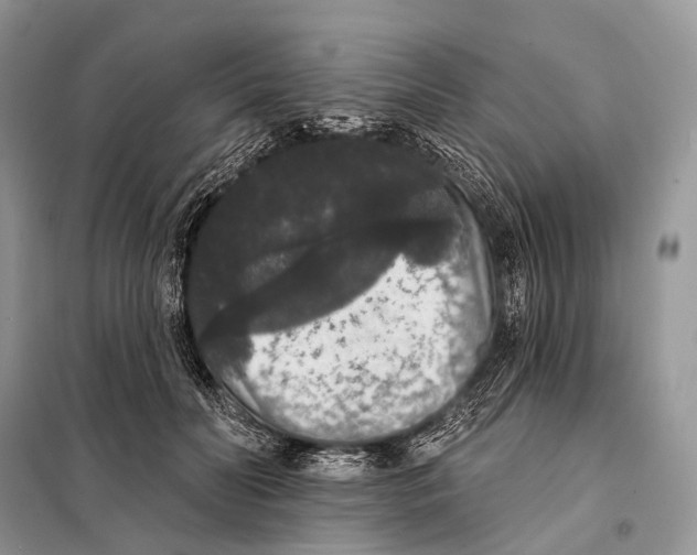 X0000097910606200804111115