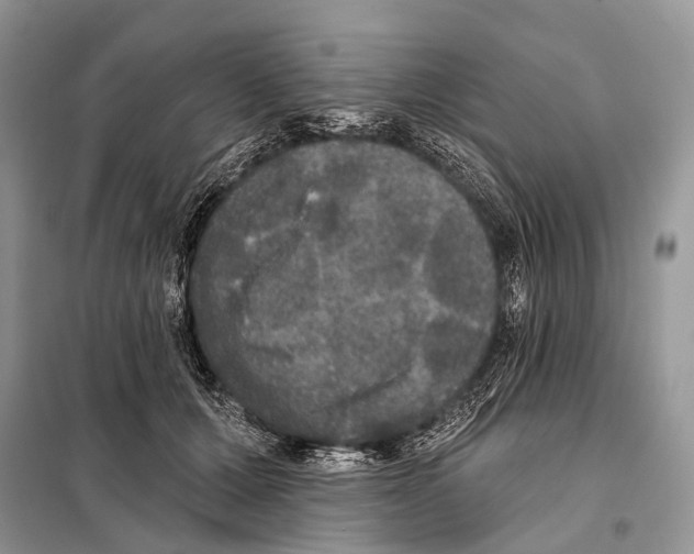 X0000097910607200804111115