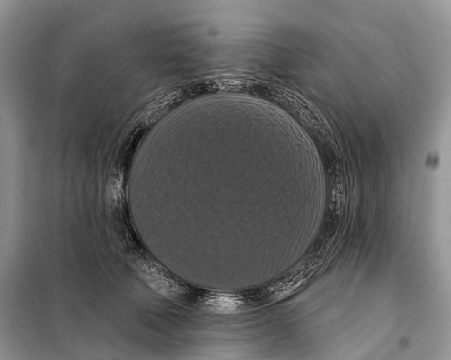 X0000097910610200804111115