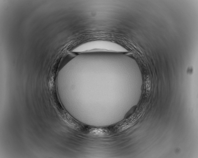 X0000097910611200804111115