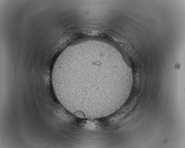 X0000097910612200804111115