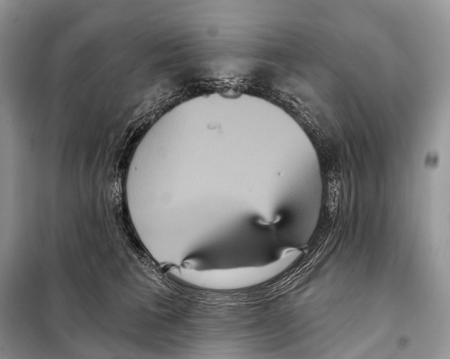 X0000097910613200804111115