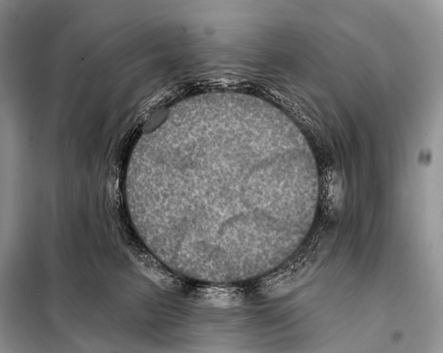 X0000097910615200804111115