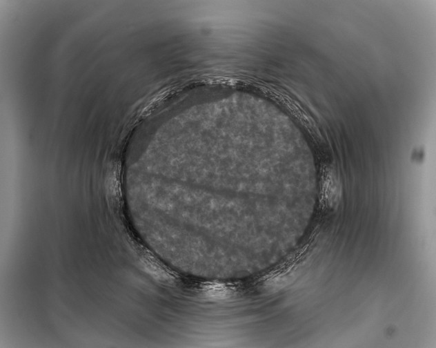 X0000097910616200804111115