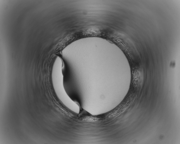 X0000097910617200804111115